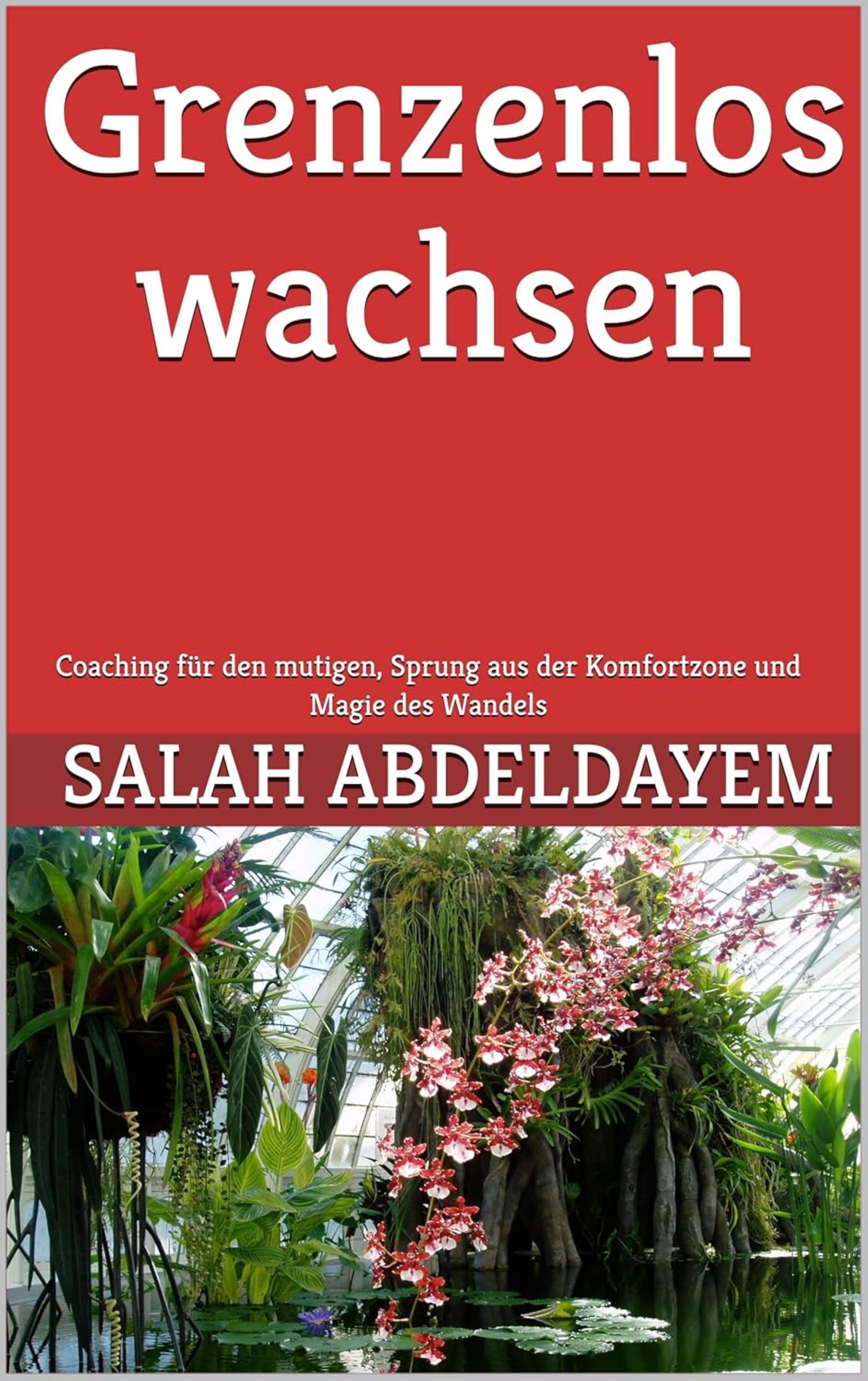 Grenzenlos wachsen: Coaching für den mutigen, Sprung aus der Komfortzone und Magie des Wandels